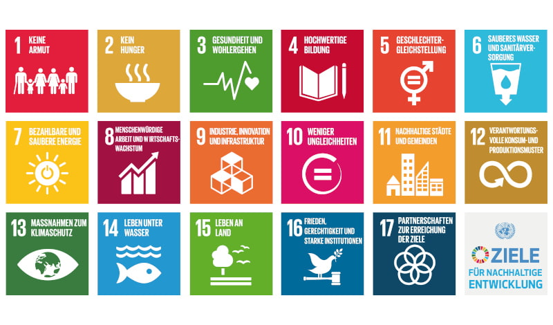 Logo_UN_Global_Goals__SDGs